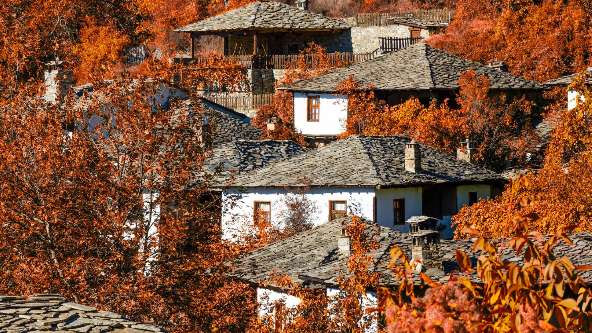 Три идеи за есенни селски маршрути в България