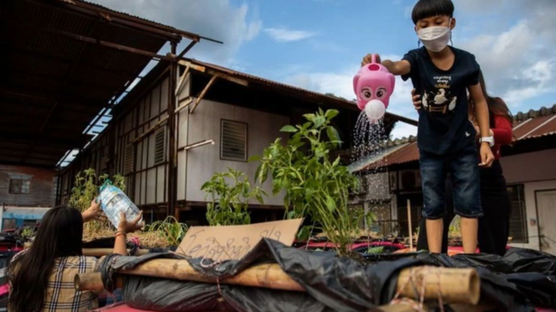 "Покривни градини" избуяват върху изоставените тайландски таксита (видео)