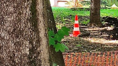 Достъпът до част от парка пред НДК е блокиран заради