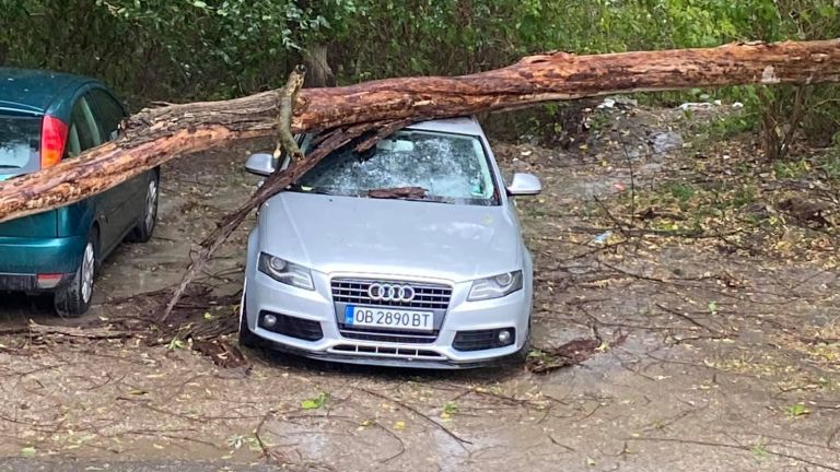 A powerful storm swept over Lovech, uprooted trees and cut off electricity