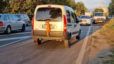 Автомобил блъсна и уби на място пешеходец на изхода от