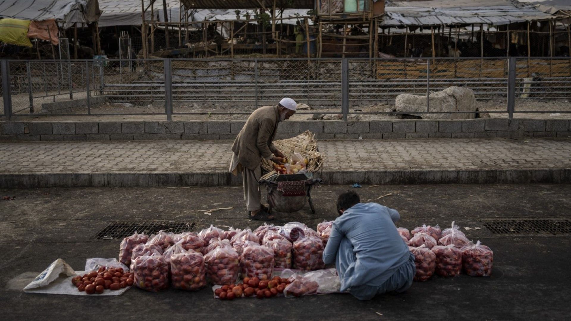 Китай призова за вдигане на икономическите санкции срещу Афганистан