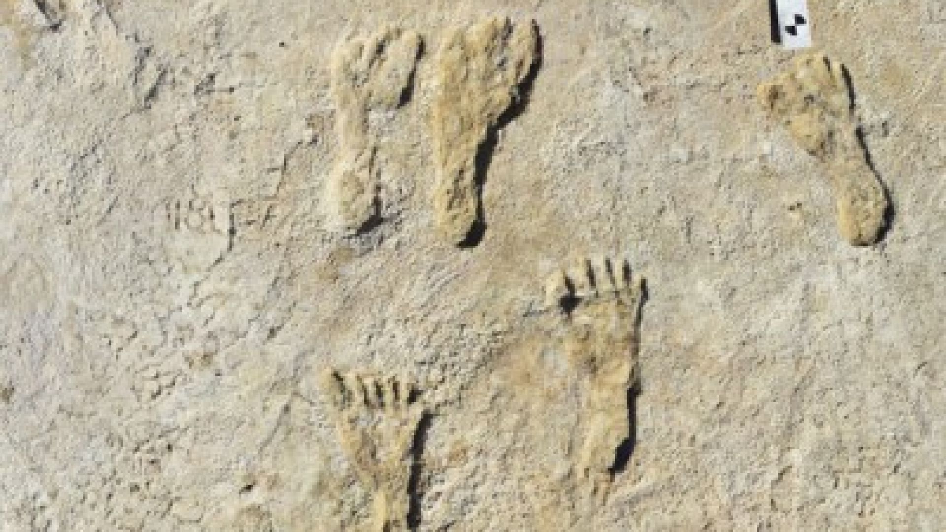  Отпечатъци от 23 000 години пренаписват човешката история на Америка (видео)