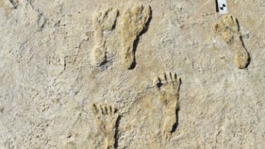 Отпечатъци от стъпки датиращи отпреди около 23 000 години бяха
