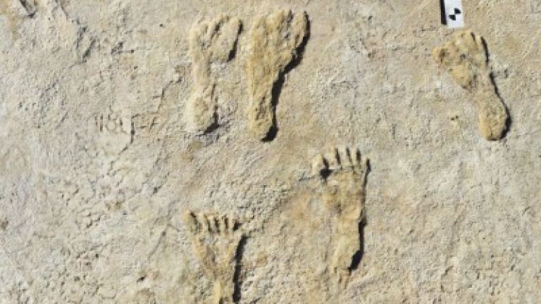Отпечатъци от стъпки, датиращи отпреди около 23 000 години, бяха