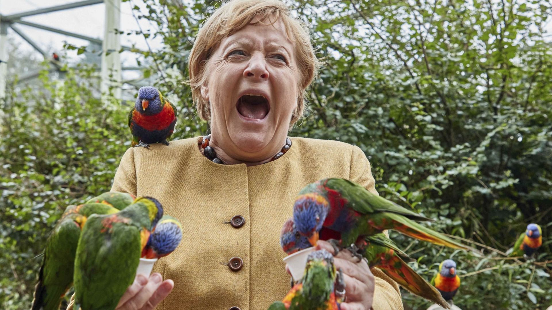 Ангела Меркел и папагалите - канцлерът на прощална обиколка преди изборите (снимки)