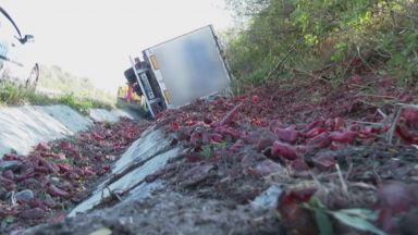 ТИР се преобърна на магистрала Хемус край Шумен Вследствие на