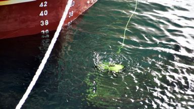 Операцията по спасяване на заседналия край Камен бряг кораб Вера