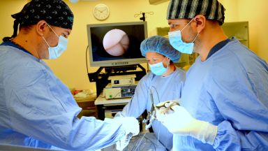 На 06 и 07 октомври в София ще бъдат извършени