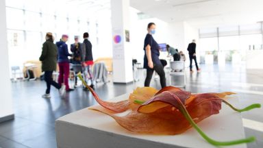 Националната галерия представя Международно биенале на стъклото 2021 6