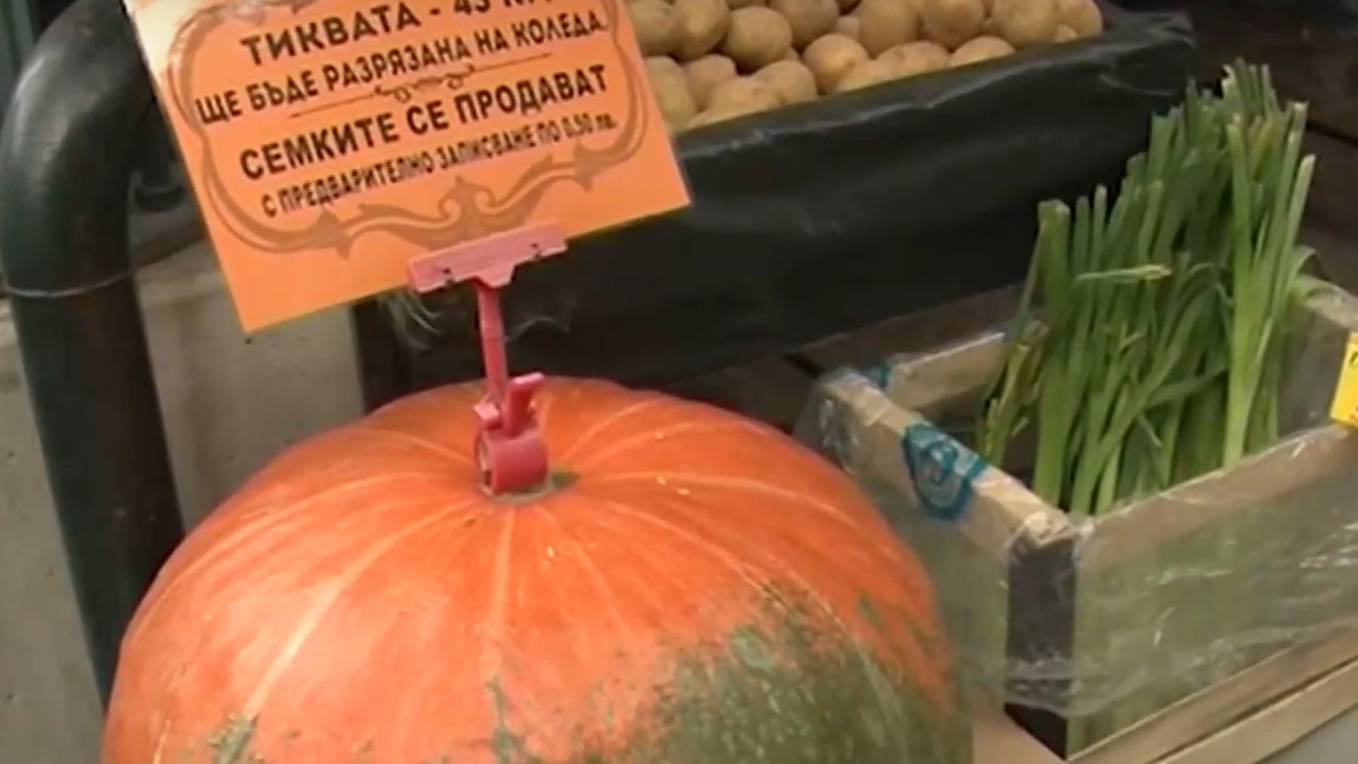 43-килограмова тиква привлича погледи на пазар в Бургас