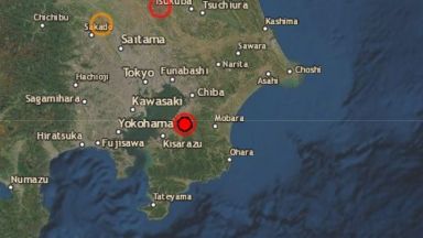Земетресение с магнитуд 6,1 разлюля Токио (видео)