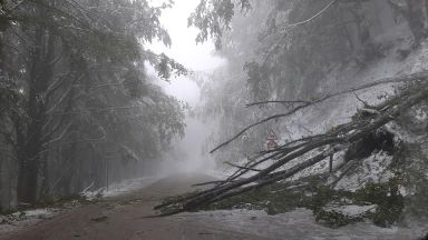 Последният ден на ноември изпращаме със сняг Средиземноморски циклон преминава