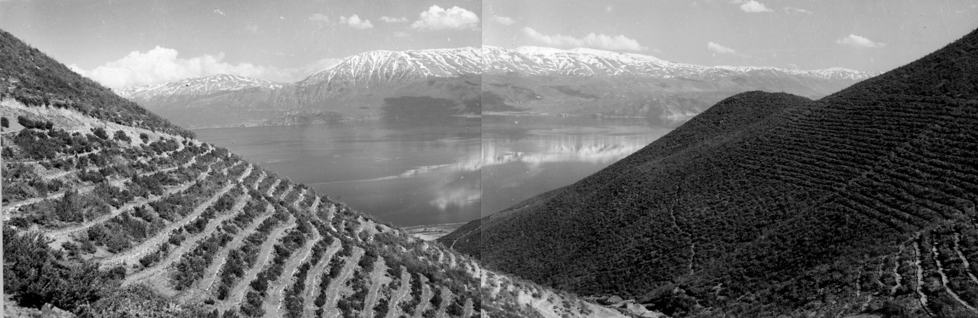 Изглед от Албания през 1950 година