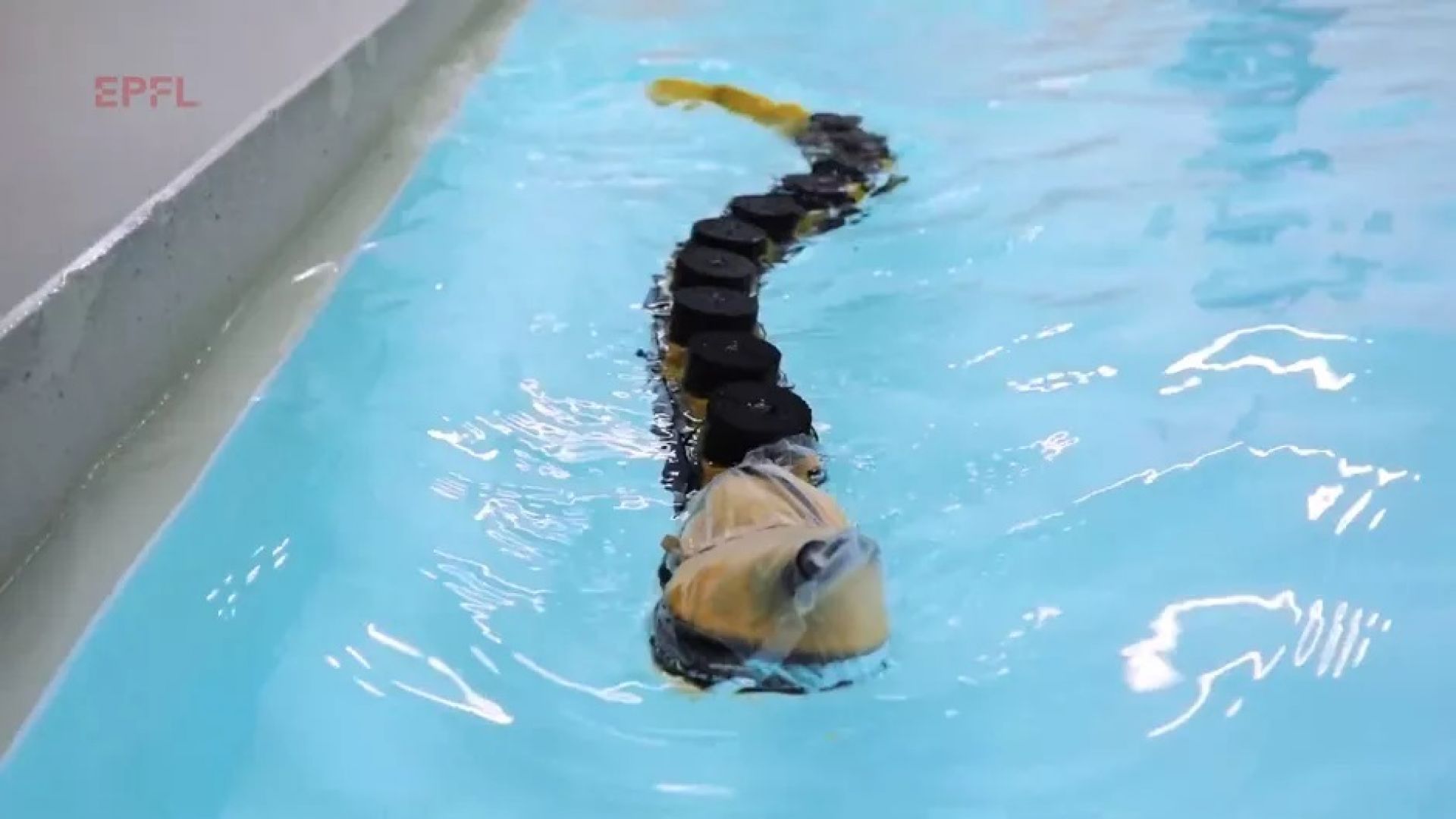 Създадоха робот, вдъхновен от ужасяваща риба-паразит