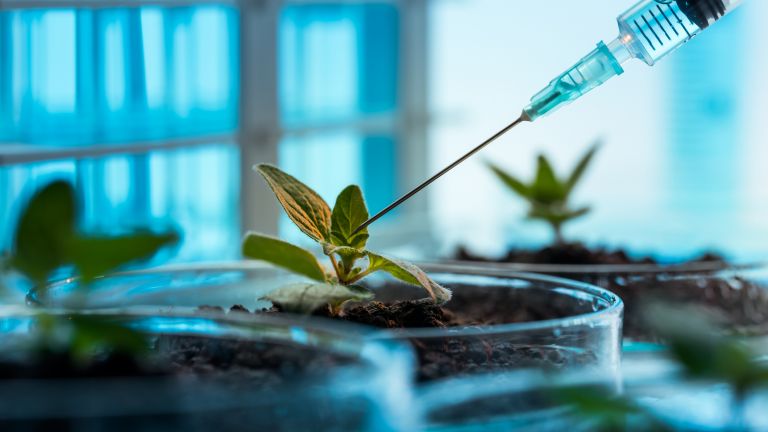 Учени карат растения да произвеждат месни протеини