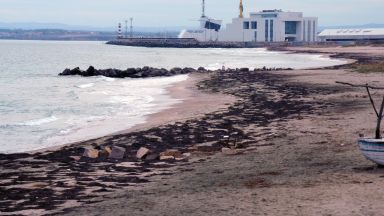 Силният вятър и бурното море през последните дни изхвърлиха голямо