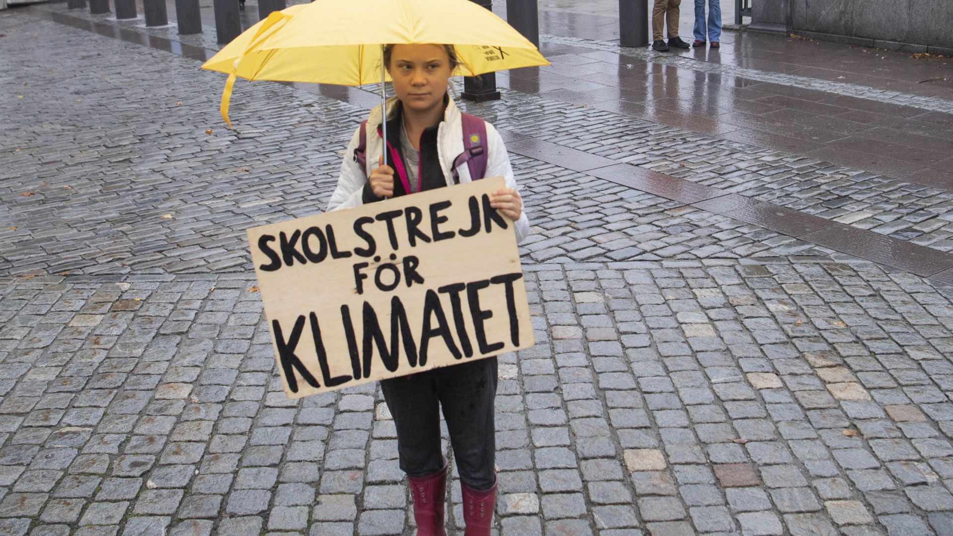 Грета Тунберг:  "замазват ни очите относно климата, за да се чувстваме добре"