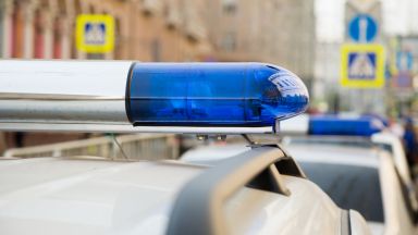 Двама мъже от град Вълчедръм отвлекли майка с двете ѝ