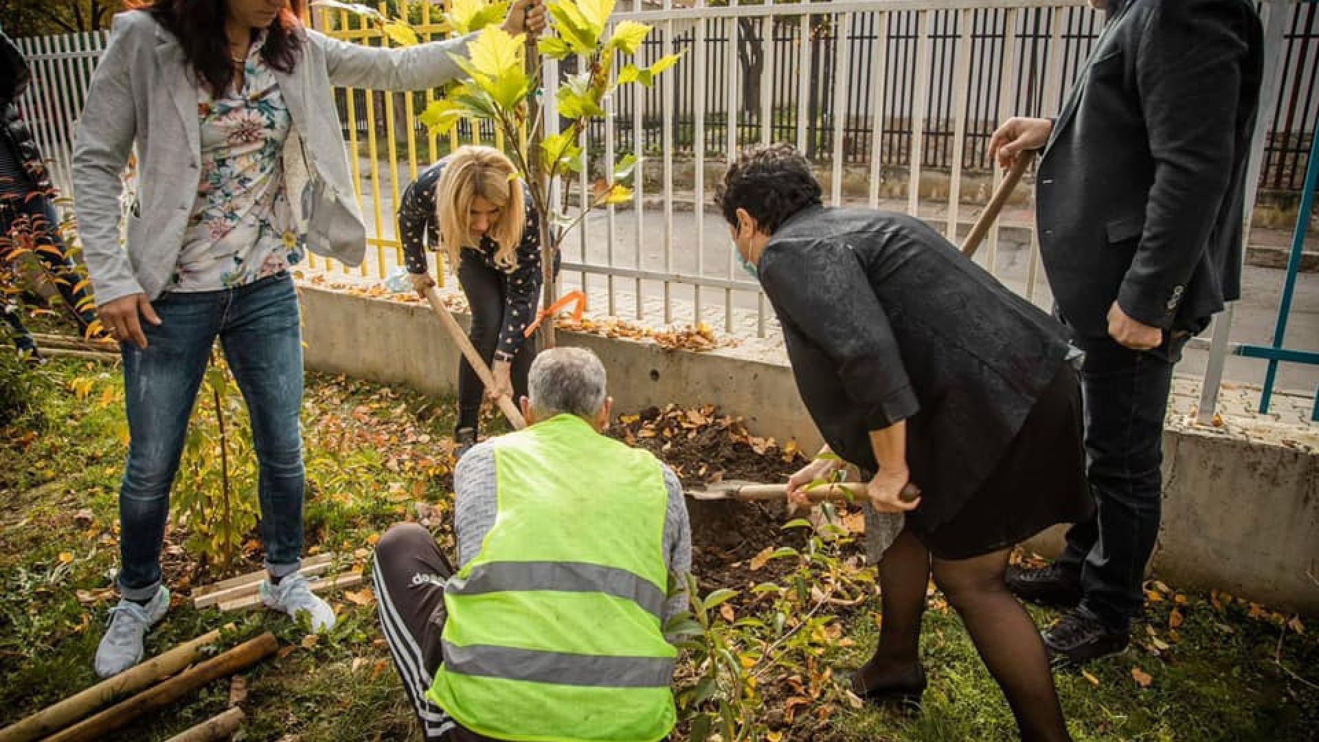 Засаждат над 600 дървета в столичните училища и детски градини с помощта на олимпийски шампион