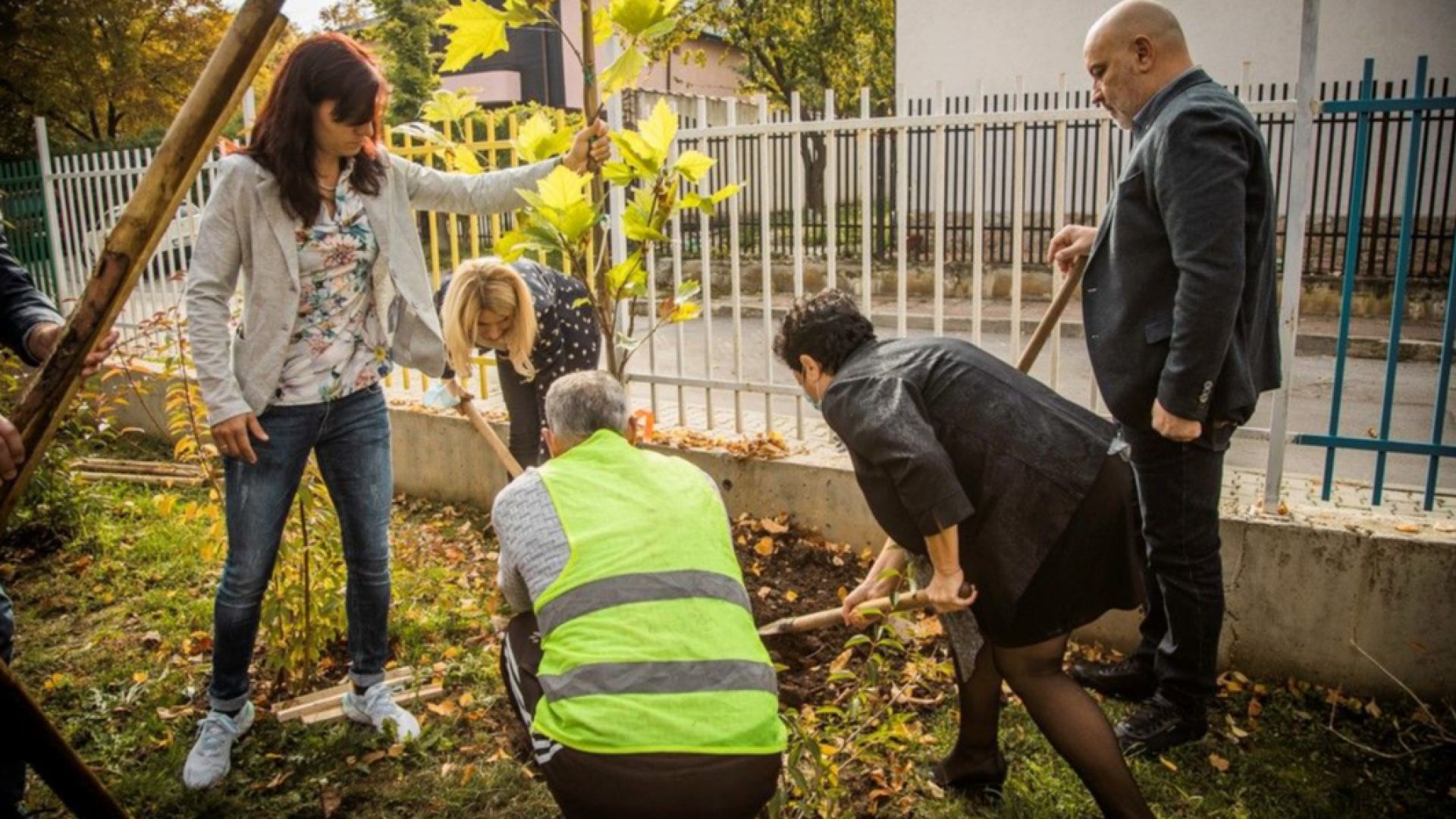 Над 4 хиляди ще са засадените дървета в София през тази година