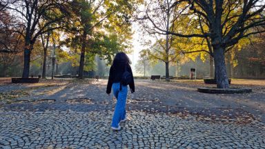 Предвижда се обновяване и възстановяване на Борисовата градина в района