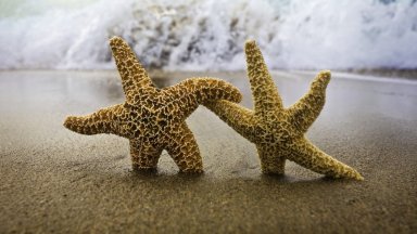 Кметът на родопското село Забърдо Смолянско стимулира съселяните си с