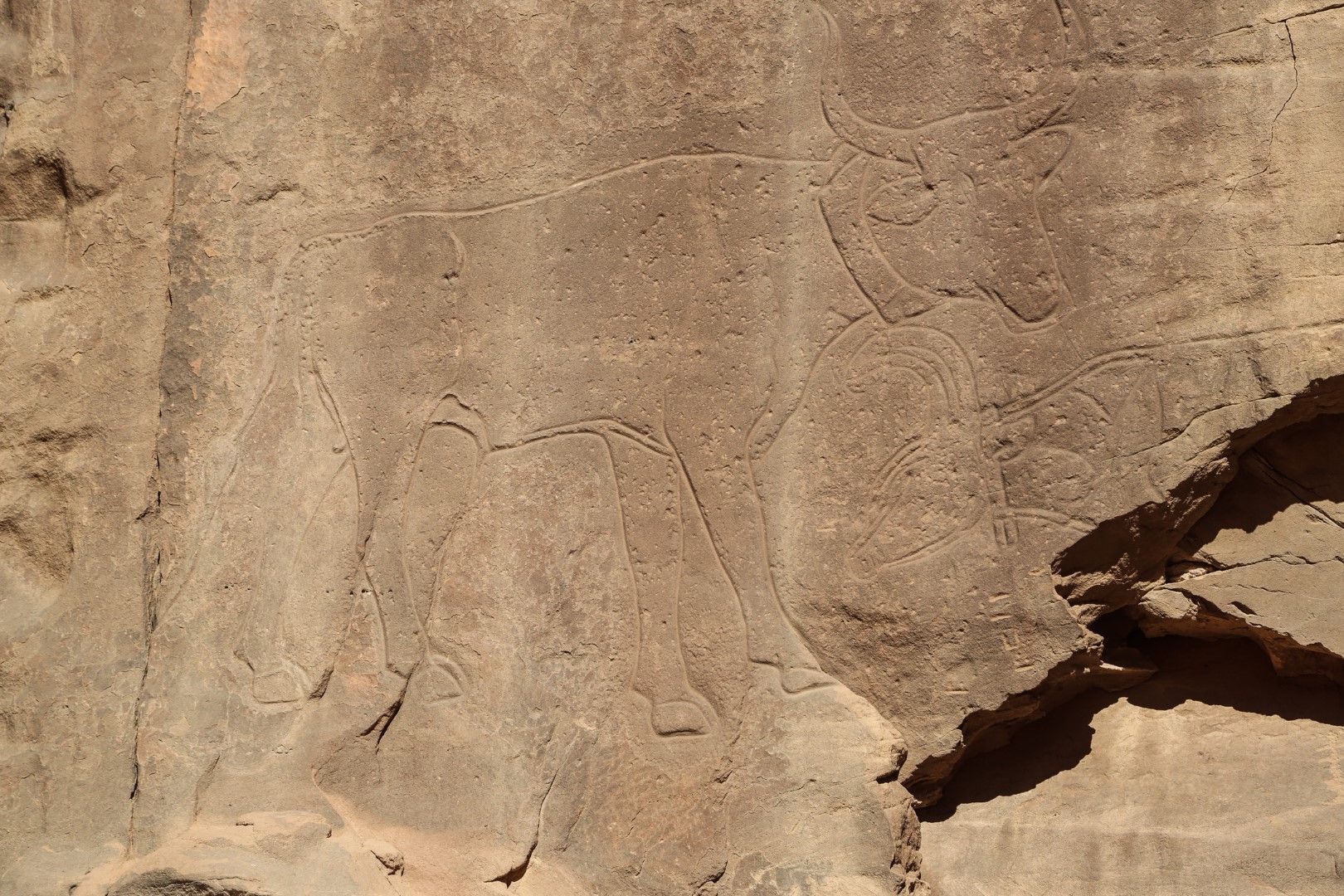 Скална рисунка в пустинята Тадрарт Акакус