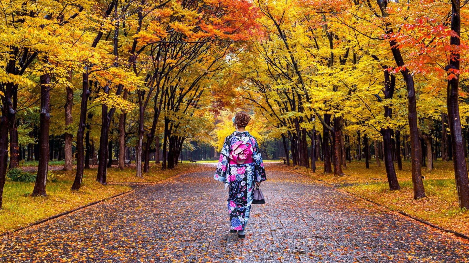 Момиджигари: японската традиция за лов на есенни листа 
