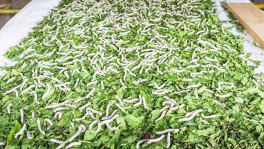 Министърът на околната среда и водите Асен Личев ще възобнови