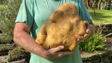 Семейство Колин и Дона Крейг Браун изровиха във фермата си близо