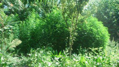 47 годишният кандидат за депутат от Сливен който беше задържан за