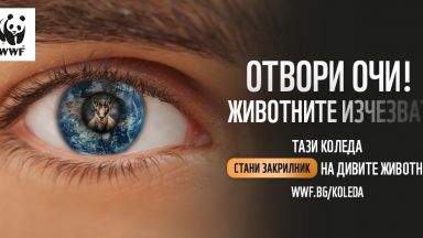 Заедно с климатичната криза и загубата на местообитания престъпленията срещу