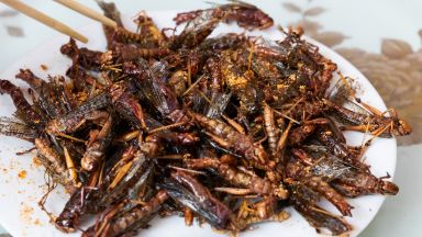 Скакалците бяха добавени в списъка на ЕС на одобрени храни като