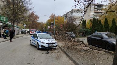 Полицията в Пловдив издирва шофьор предизвикал сериозно пътно произшествие и