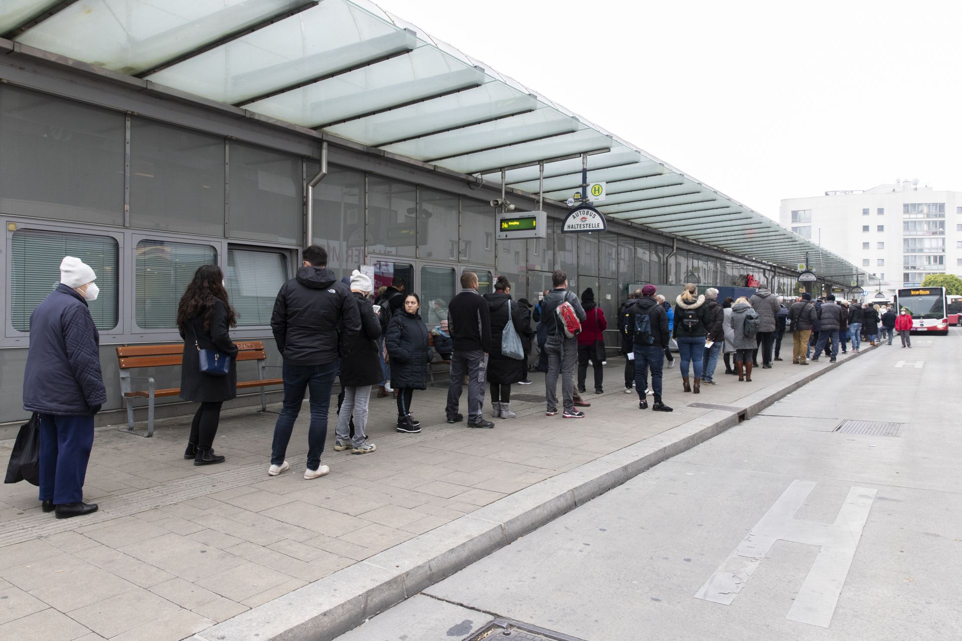  На опашка за имунизация против коранавируса във Виена 