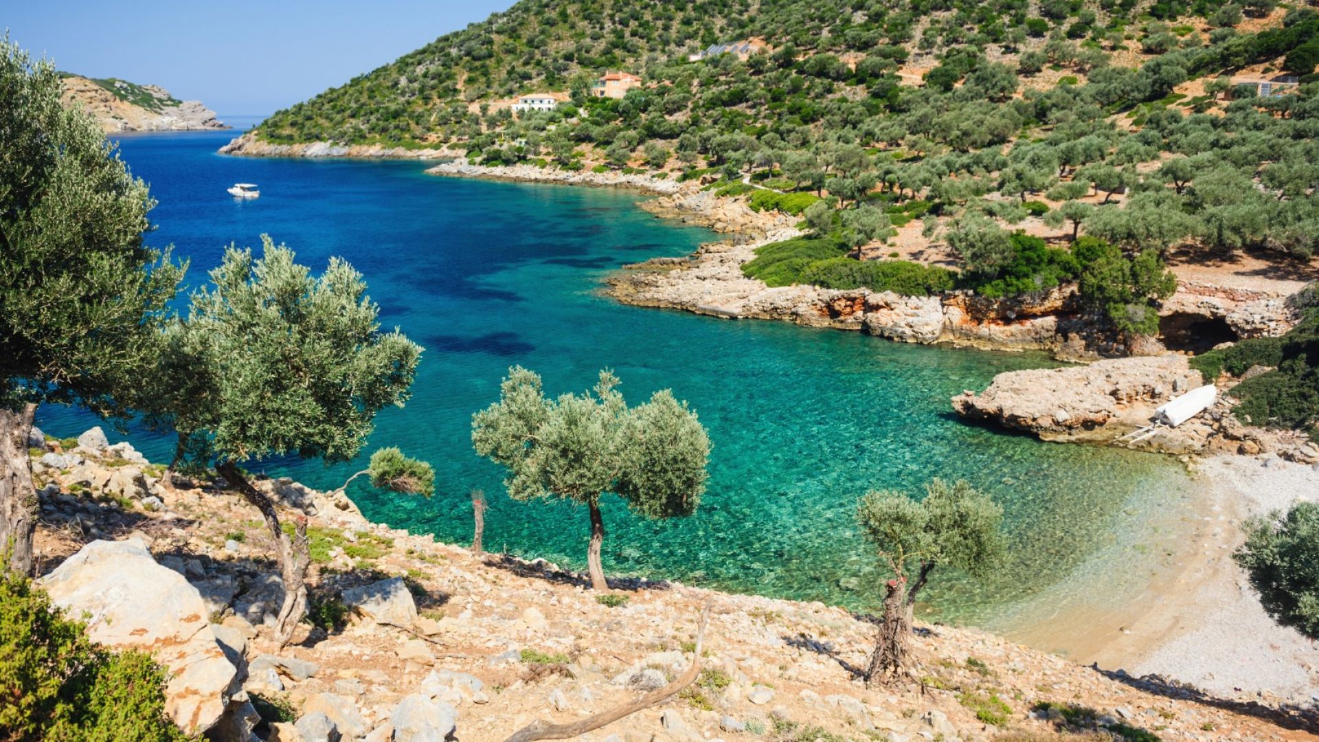 Как остров Алонисос стана най-еко дестинацията в Гърция?
