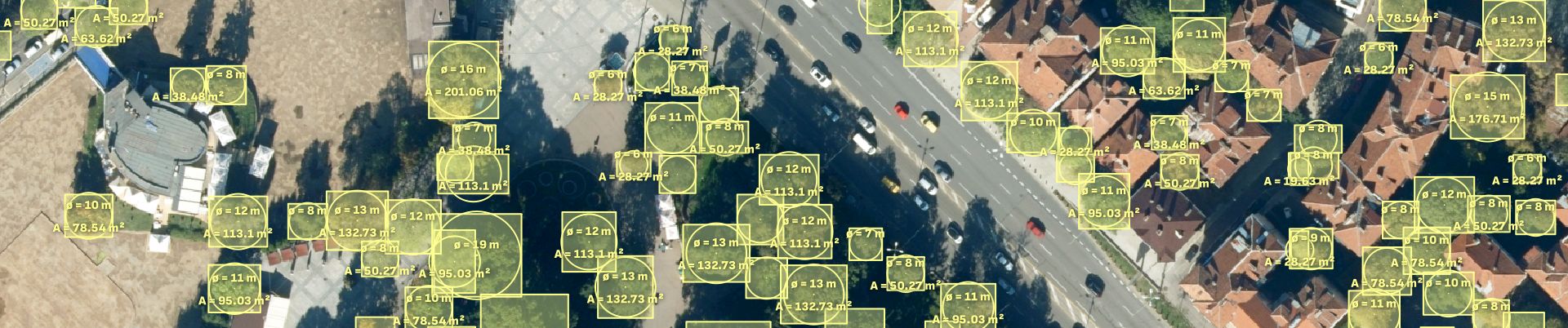 Изображения от автоматичната индексация на дървета