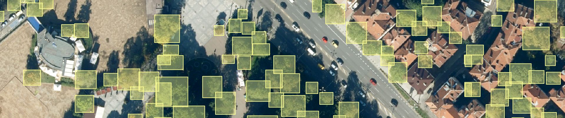Изображения от автоматичната индексация на дървета