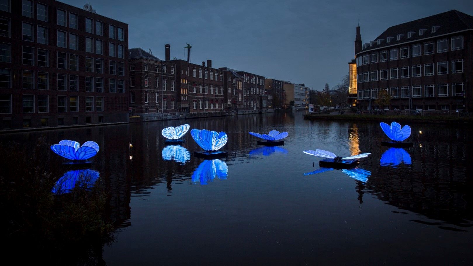 Фестивал на светлината в Амстердам