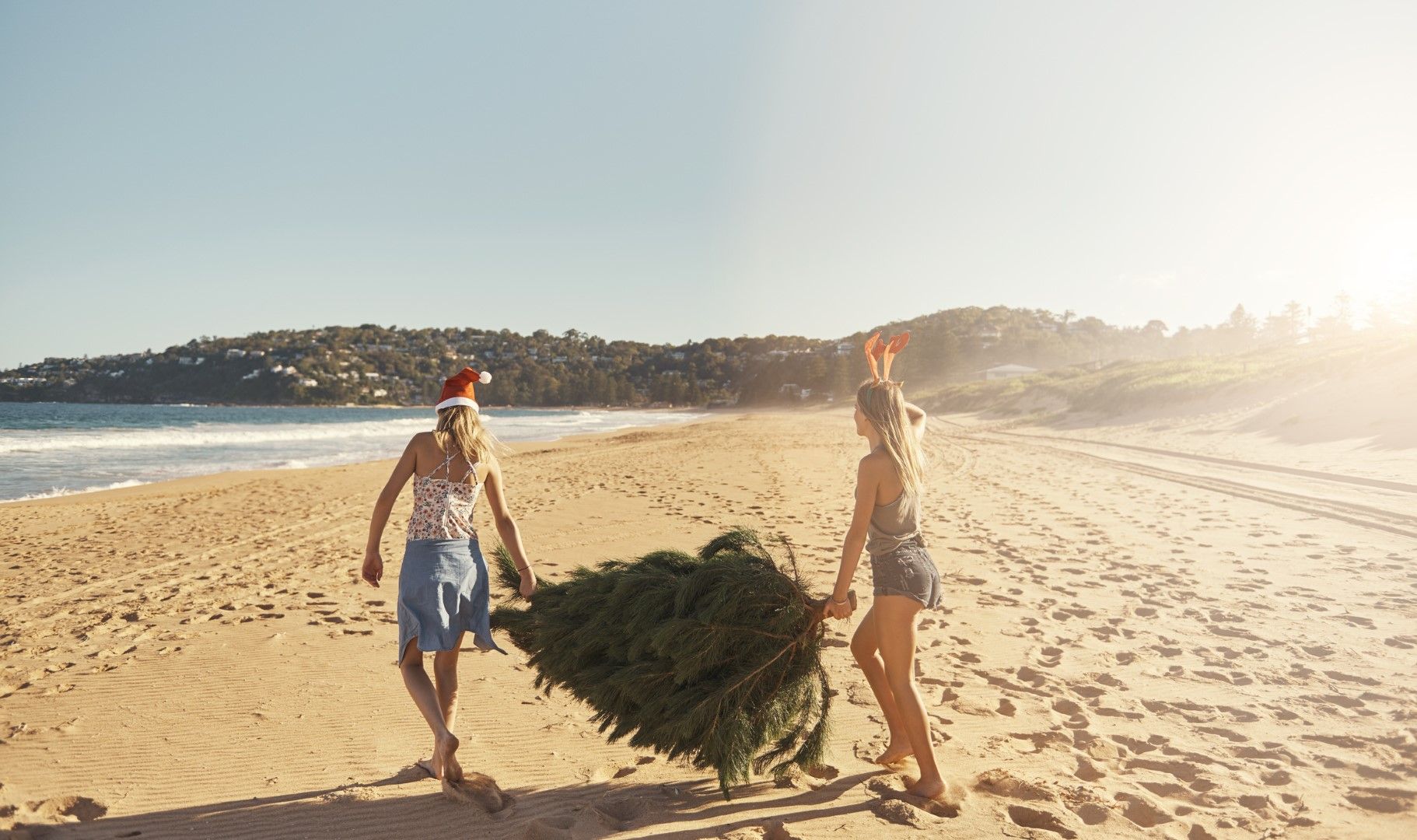 Плажовете и коледните елхи са напълно съвместими в Австралия