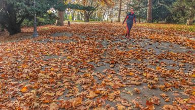 Силният вятър в морската столица Варна покри с цветни листа