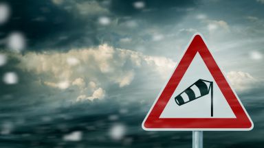 Над 20 сигнала за паднали клони и опасни дървета са