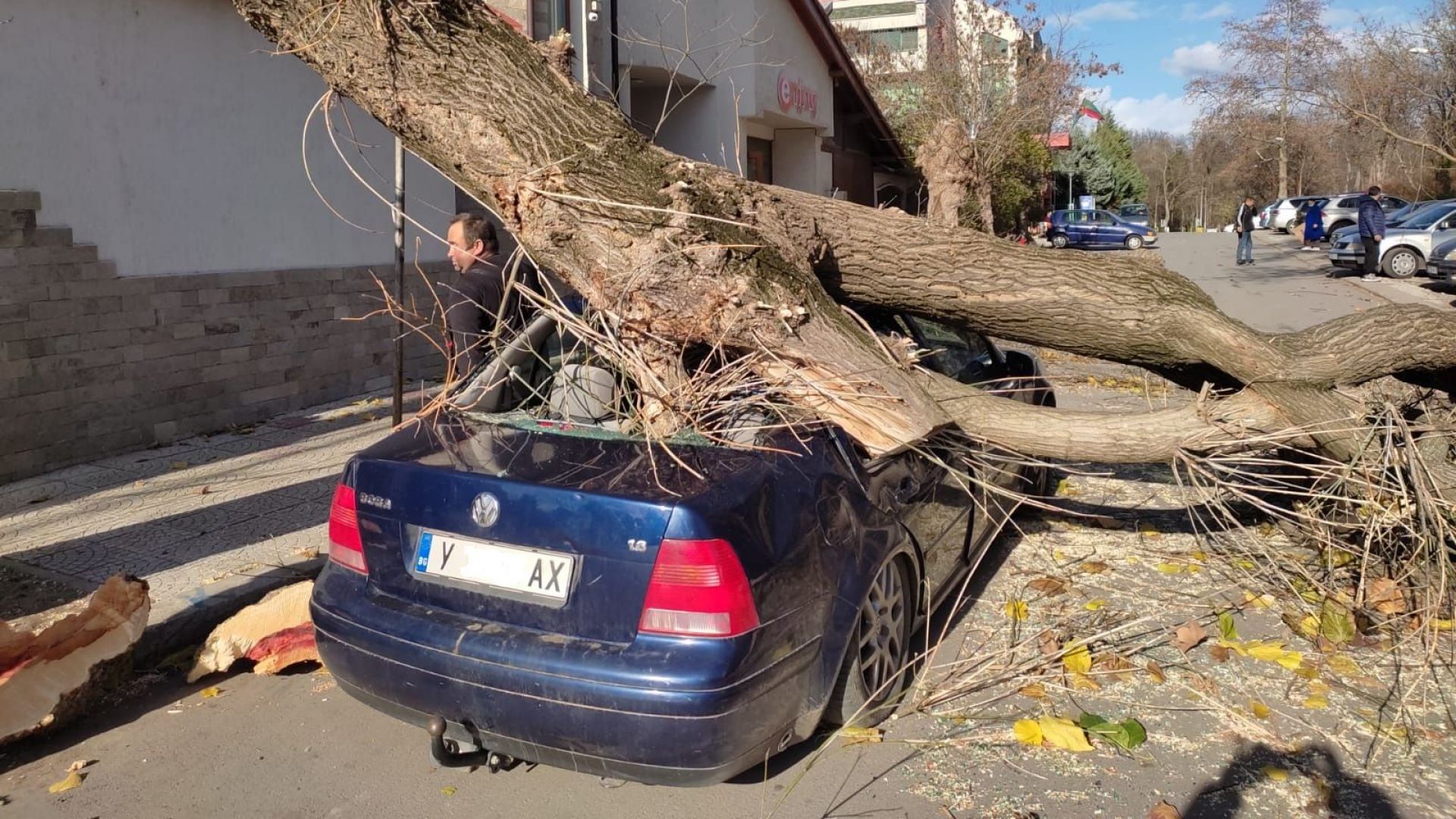 Ураганен вятър със 100 км/ч събори дървета в Сливен и Ямбол