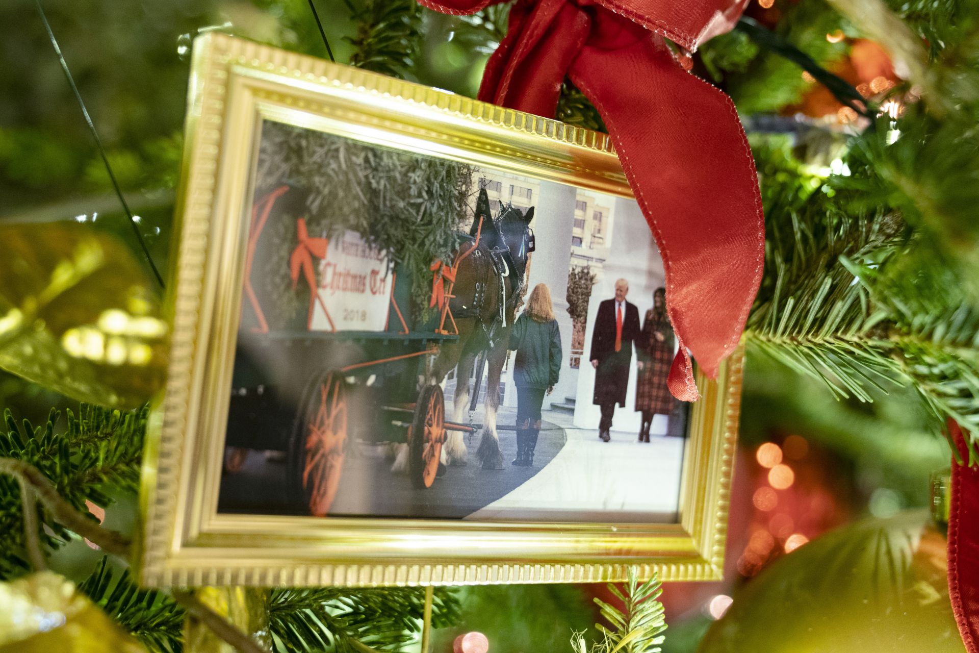 Снимката на Доналд и Мелания, красяща коледната елха в Белия дом