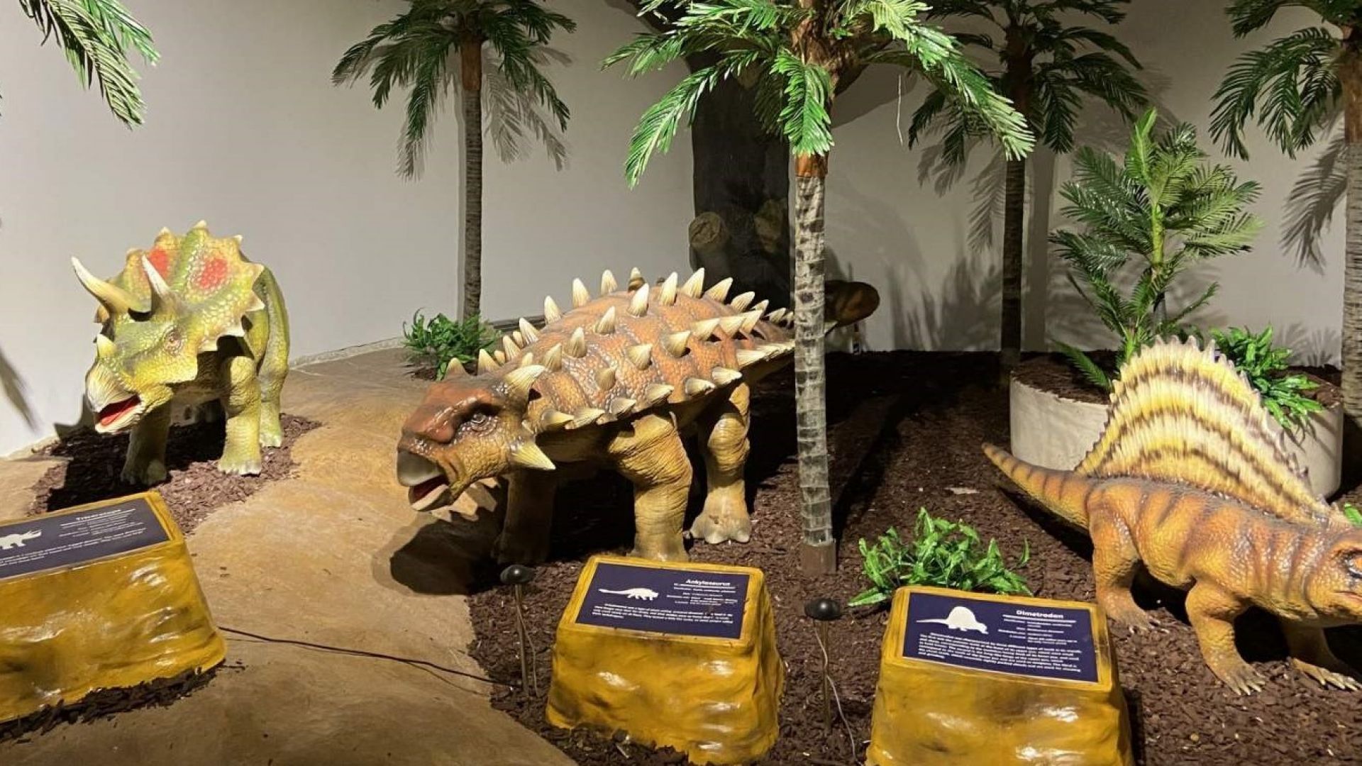 Пловдивският природонаучен музей вече има зала с динозаври