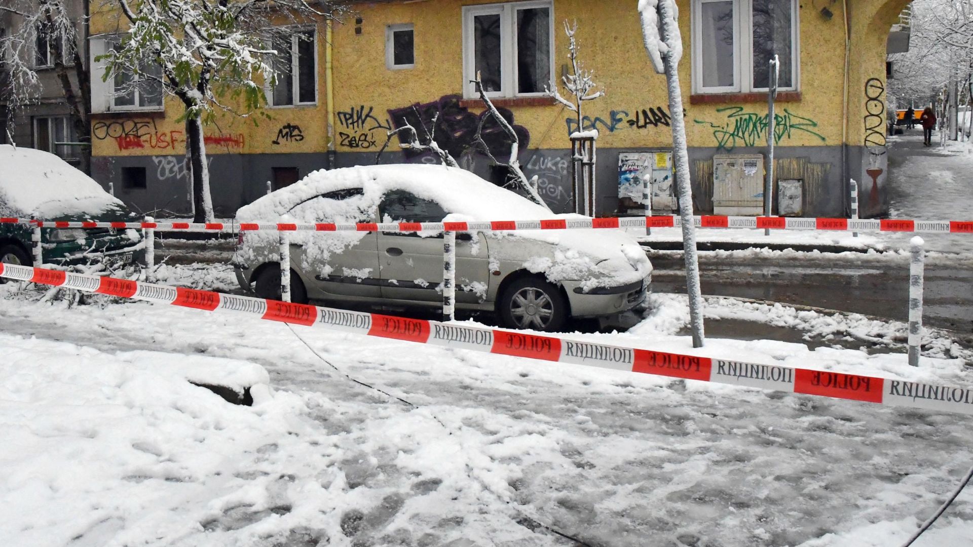 Над 520 сигнала за паднали дървета в София след първия сняг