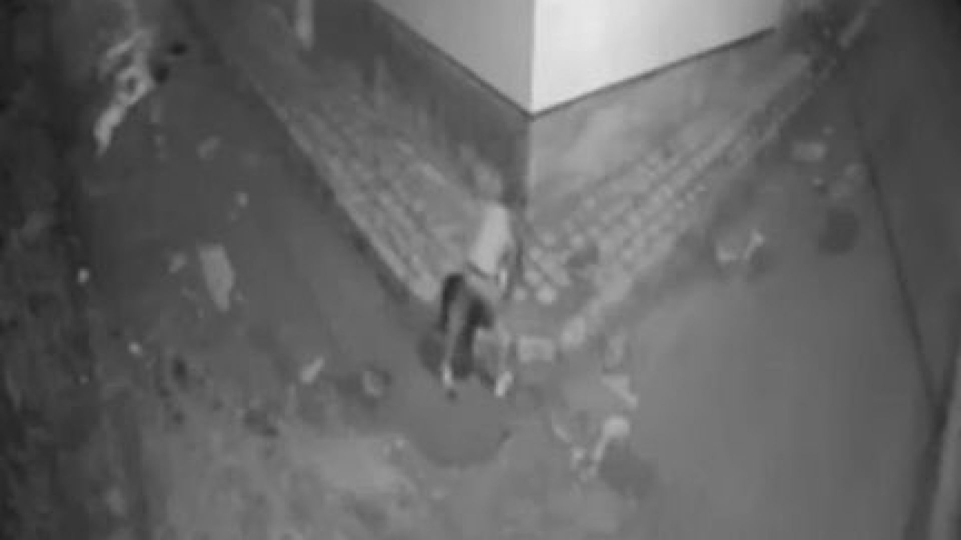 Охранителни камери заснели нападателя и последните часове на убитото в Луковит момиче (видео)