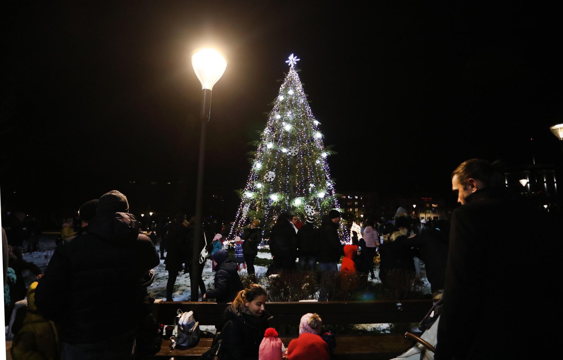 Коледната елха на София при НДК