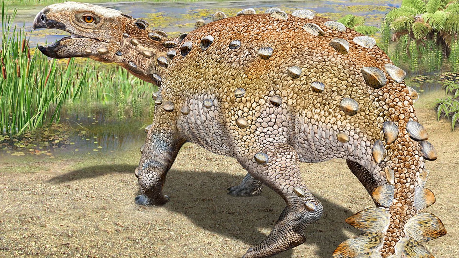 Учени откриха нов вид "странно изглеждащ динозавър"